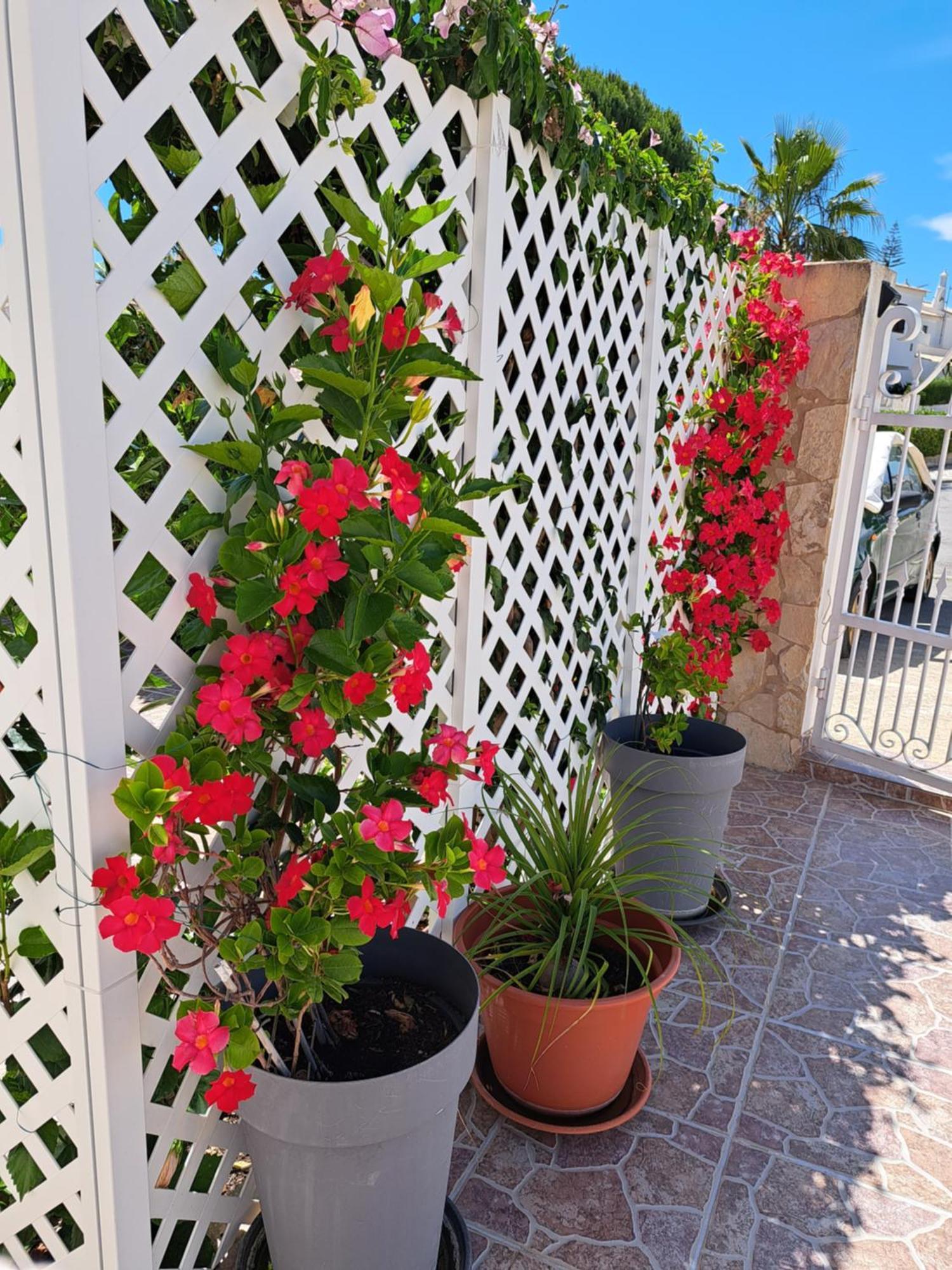 Villa Mariamar Albufeira Buitenkant foto